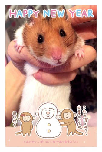 まーちゃんですヽ(*´∀｀)ノ